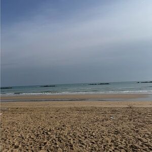 Meet your Posher, Tamika